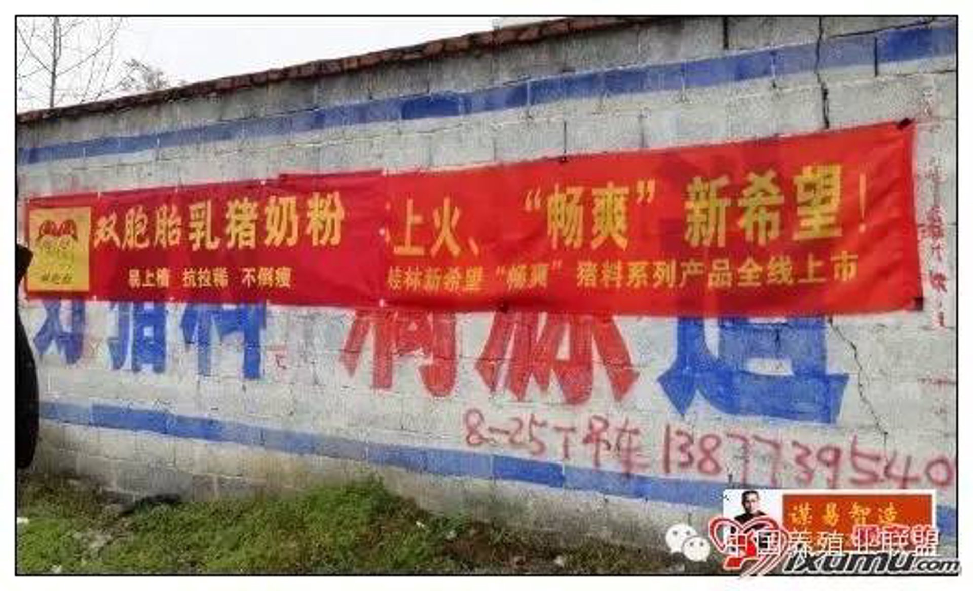 概收饲料添加剂